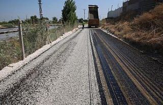Haliliye yollarında asfalt çalışması