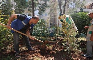 Haliliye’de parklar yenileniyor