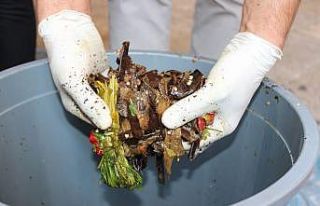 Hatay’da evsel atıklar kompost oluyor