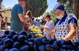 Hatay’da Meryem Ana Yortusu ve Üzüm Bayramı kutlandı