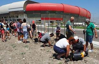 Hatay’da misafir müzisyenler fidanları toprakla...