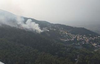 Hatay’da orman yangını