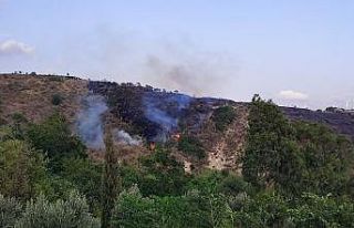 Hatay’da örtü yangını korkuttu