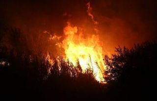 Hatay’da otluk yangını kontrol altına alındı