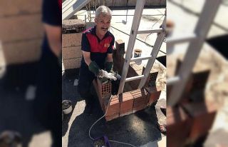 Havalandırmaya düşen kedi kurtarıldı