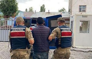 Hayvanları için topladığı kışlık otları ateşe...