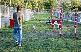Hayvanseverlerden Patiyol’a özel teşekkür