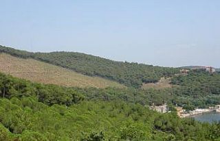 Heybeliada’da 1 yıl önce yangında kül olan alanın...