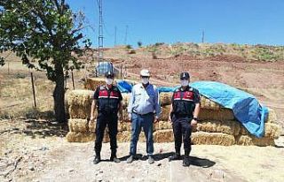Hırsızlar şimdide çiftçinin samanına göz dikti:...
