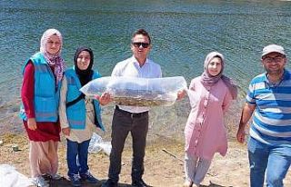 Hisarcık’ta 260 bin yavru sazan 3 gölette suyla...