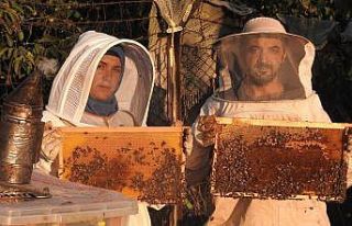 Hobi olarak başladığı arıcılıkta en büyük...