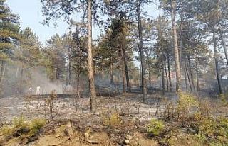 Honaz’da ikinci yangında kontrol altına alındı