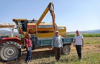 Hububatta biçerdöver kontrolü