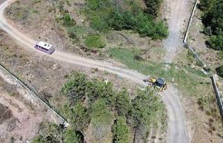 İBB Barınağındaki dehşet görüntülerin üstü...