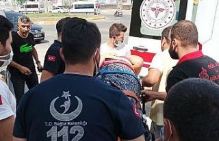 İncir ağacından düşen kadın yaralandı