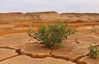 IPCC uyardı: “İklim değişikliğini sınırlandırmak...