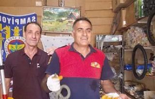 İş yerine giren yılan yakalanarak doğal ortamına...