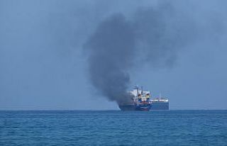 İskenderun Körfezi’nde konteyner yüklü gemide...
