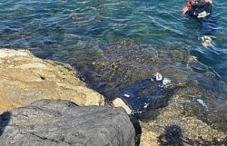 İskenderun’da barınakta erkek cesedi bulundu