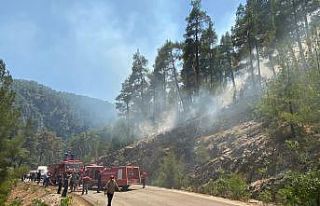 Isparta’da alev alan tırdan ormana sıçrayan kıvılcımlar...
