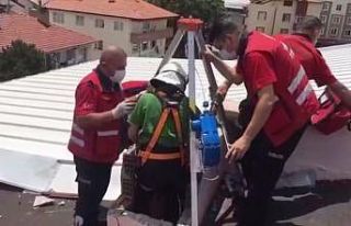 Isparta’da apartman boşluğuna düşen kedi halat...