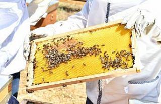 İzmir Büyükşehir Belediyesi, Muğla’daki üreticilere...