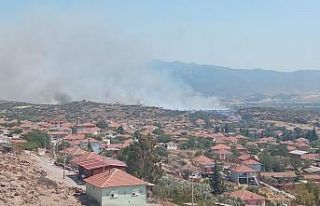 İzmir’de makilik alanda yangın