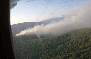 İzmir’de orman yangını: Havadan ve karadan müdahale...