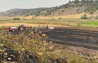 Jandarma ve köylüler yangını 500 dekarlık buğday...