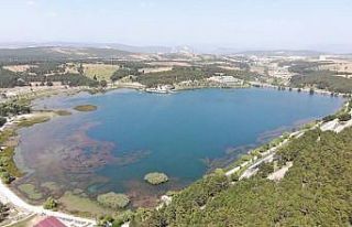 Jandarmadan ormanlık alanlarda dronlu denetim