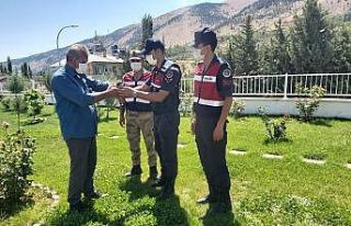 Jandarmanın bulduğu yaralı atmaca tedavi altına...