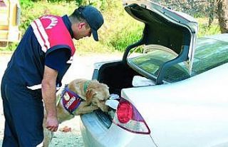 JASAT suç ve suçlularla mücadelesini hız kesmeden...