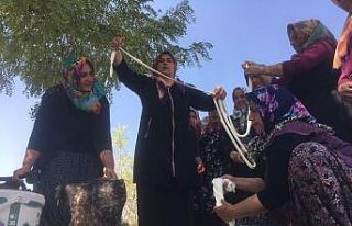 Kadınlar el ele verip 8 çeşit peynir üretti