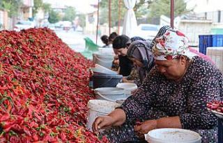 Kadınların ’en acı’ mesaisi
