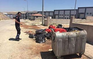 Kahramankazan zabıtasından çevre dostu denetimler