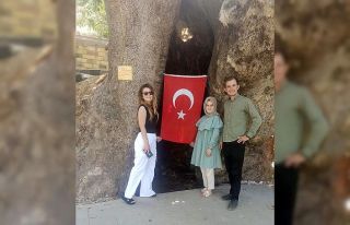Kahramanmaraş’ta 800 yıllık çınar ağacına...