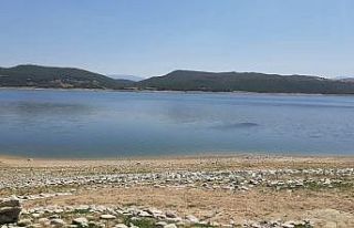 Kahramanmaraş’ta düşen uçağın karabatak kuş...