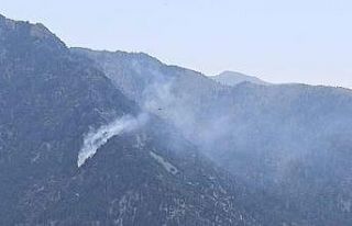 Kahramanmaraş’ta orman yangını