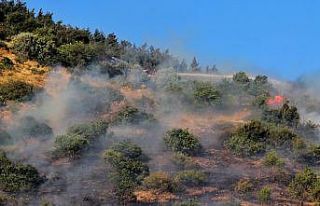 Kahramanmaraş’taki orman yangınları büyümeden...