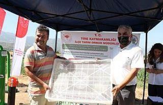 Kaliteli kuru incir için Egeli ihracatçılar seferber...