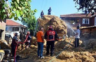 Kamyon elektrik kablolarını kopardı, kasasındaki...