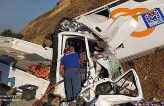 Kamyonetle minibüs çarpıştı: 2 yaralı