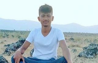 Kamyonetten düşerek altında kalan genç öldü