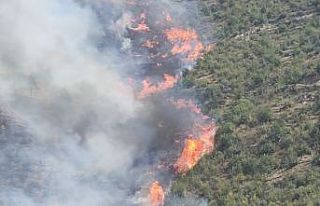Karabük’te aynı alanda 2 orman yangını çıktı