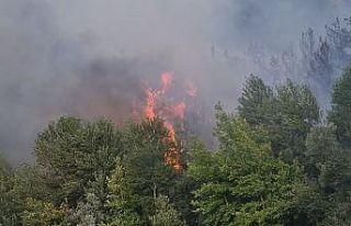 Karabük’te ormanlık alanda yangın çıktı