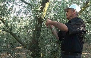 Karacabey’de çekilen ‘Tarım Sohbetleri’ ilgi...