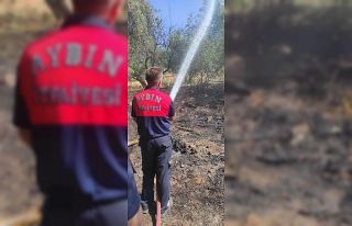 Karacasu’da evleri tehdit eden yangını Büyükşehir...