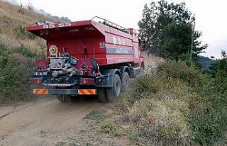 Karacasu’daki yangında ekiplerin çalışması...