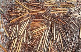 Karadeniz ’tomruk deniz’ oldu