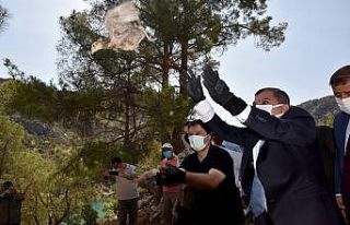 Karaman’da 840 sülün doğaya bırakıldı